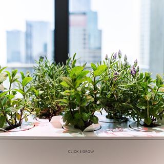 Click And Grow discount code